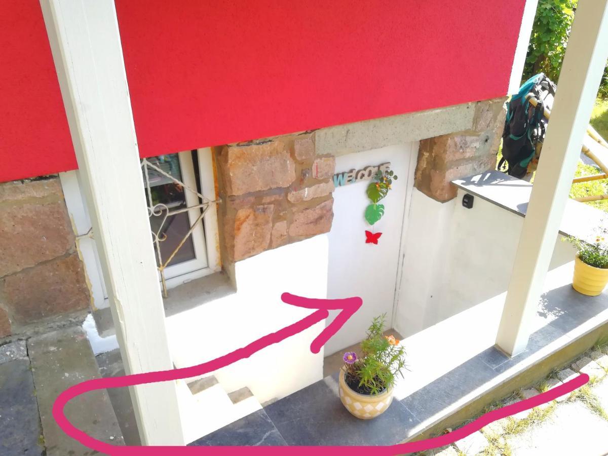 Kleines Studio Im Eichenwaeldchen, 1 Zimmer Kueche Bad Friedrichsgrun Exterior foto